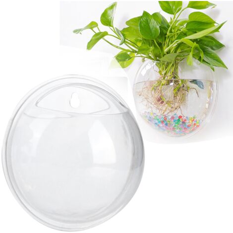 Aquarium Acrylique Transparent Miniature Murale 15cm Fixation Invisible Modèle Aléatoire