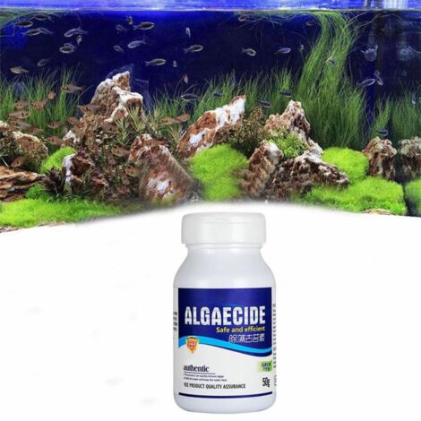 Aquarium-Algizid 50 g – Algenentferner für Fischteiche – Aquarienwasserreiniger