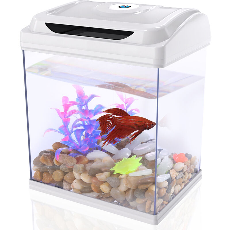 Aquarium Complet Dadypetd Led Avec Plantes Et Cailloux, Multicolore Eu Plug