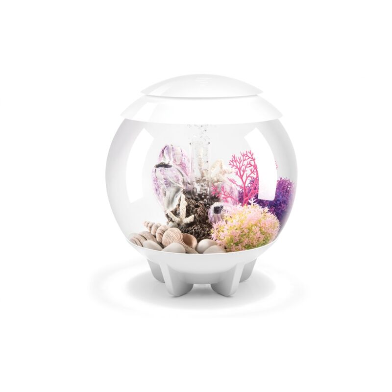 Oase - Aquarium décoratif 15l blanc Halo 15 mcr white