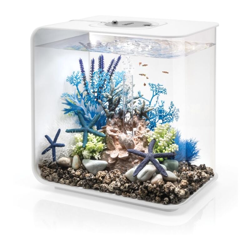 Aquarium décoratif 30l mcr avec cadre blanc Oase Flow30MCR white