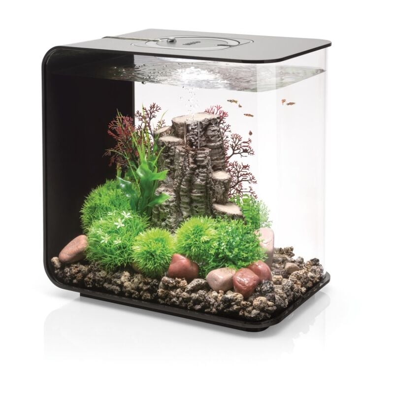 Aquarium décoratif 30l mcr avec cadre noir Oase Flow30MCR black