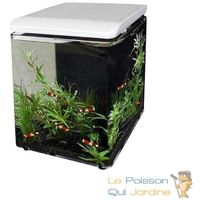 820+ Aquarium Design Home 80 Blanc Superfish Terbaik