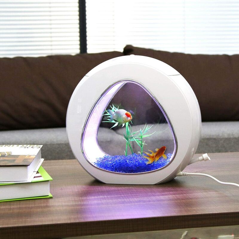 Zqyrlar - Aquarium Design avec fenêtre en Verre et lumière LED, Couleur Blanc. Capacité de 4 litres.