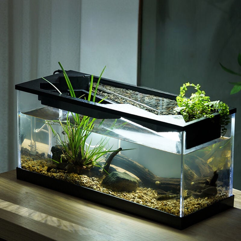 Aquarium en Equipé LED et Pompe, Aquarium de bureau avec pompe à air et lumière, kits de démarrage pour aquarium, système de cycle écologique,