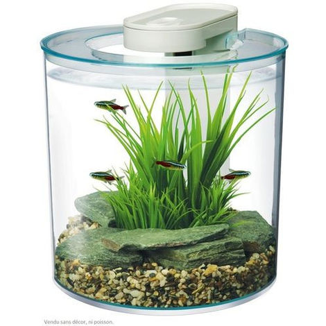 92+ Aquarium Design En Hauteur Gratis