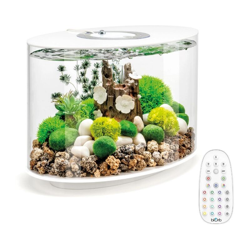 Oase - Aquarium long 15l contours blanc Loop 15 mcr white