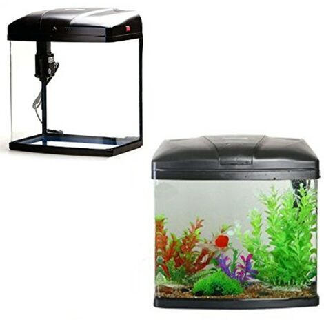 22,19€ petit aquarium complet Dadypet (aquarium 3,8l / pompe à air