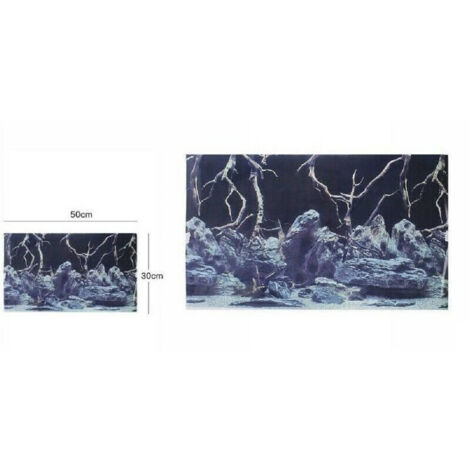 Aquarium Terrarium Fond Poster Panorama Décoration Taille 30 X 50 Cm 61804