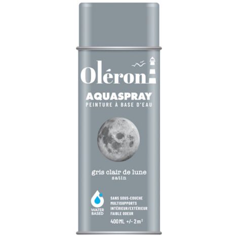 Aquaspray Oléron Gris Lune Peinture Aérosol Acrylique Gris Lune Satiné - Technima