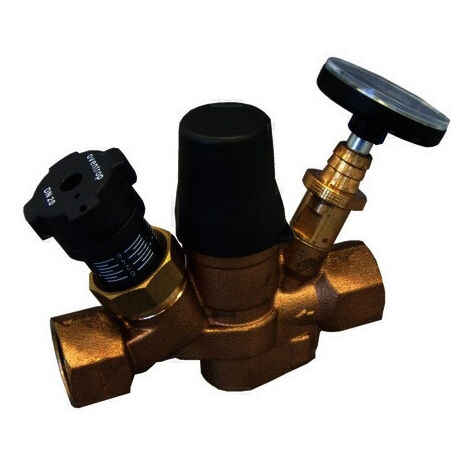 AQUASTROM T PLUS, DN25, 1 F x 1 Favec TETE ET THERMOMETRE