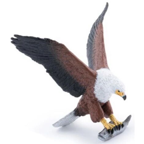 Aquila pescatrice africana
