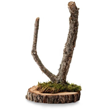 Árbol BioBranch de 40 cm de alcornoque