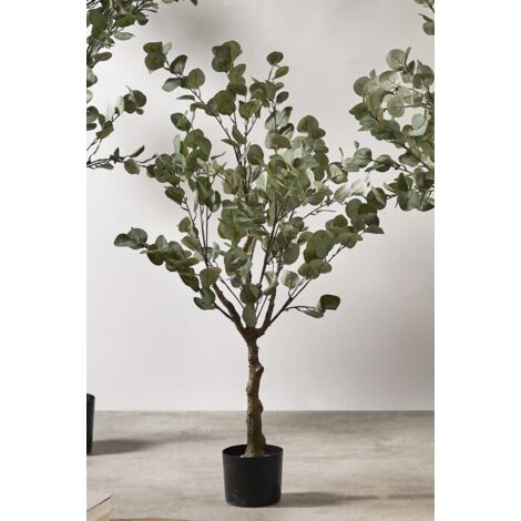Arbol Eucalipto 122 Cms. 122 Cms