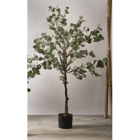 Arbol Eucalipto 150 Cms. 150 Cms
