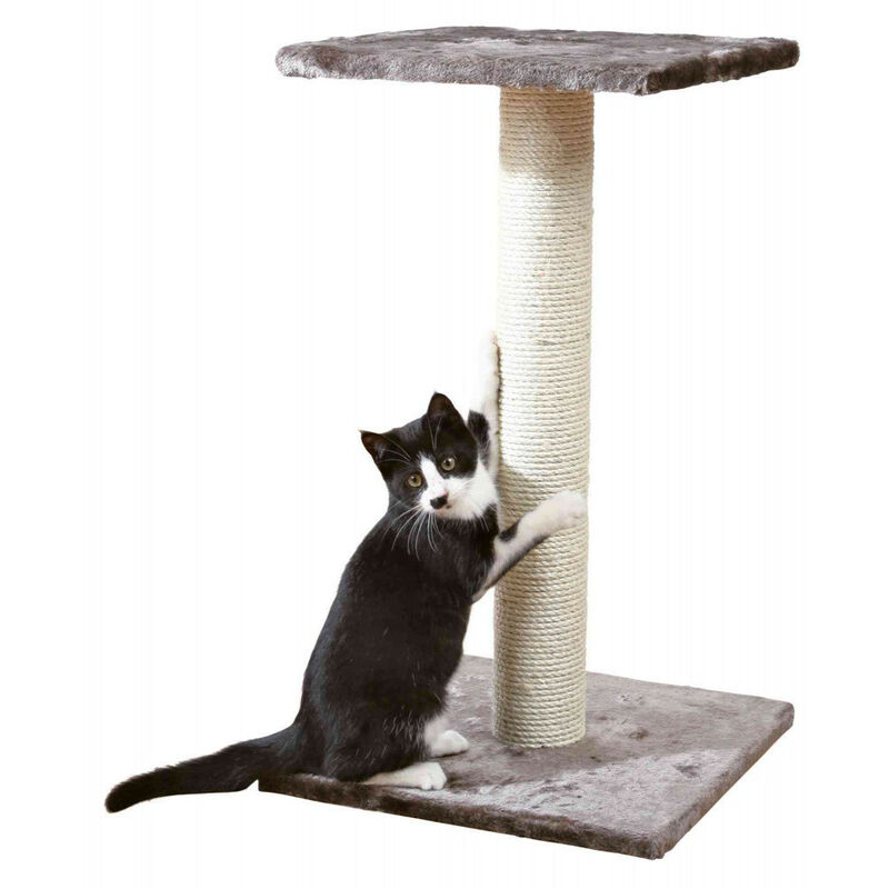 

Animallparadise - Árbol para gatos, 40 por 40 cm, altura 69 cm, Espejo, color gris platino.