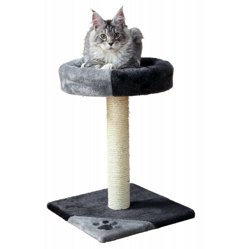 

Árbol para gatos, tamaño 35 por 35 cm, altura 52 cm, Tarifa, color negro y gris.