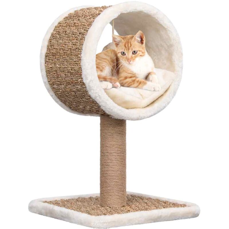 

vidaXL Árbol para gatos túnel superior y juguete hierba marina 56 cm - Beige