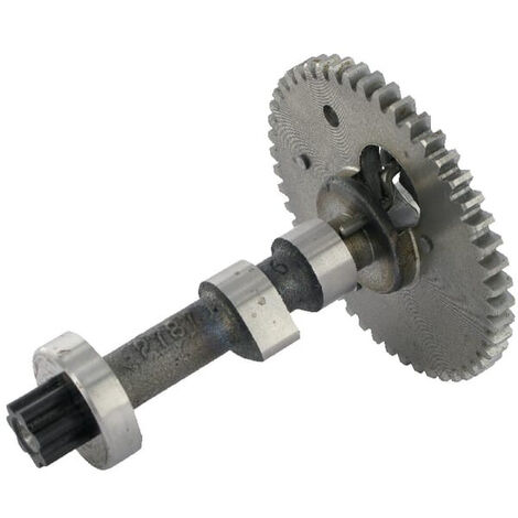 Arbre à cames BRIGGS ET STRATTON 797242