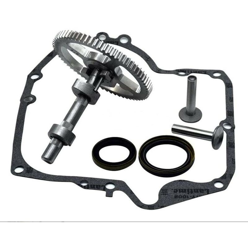 Arbre à cames Briggs & Stratton 793880 793583 792681 791942 795102 Kit de remplacement de came avec joint d'huile 795387 et joints de carter 697110