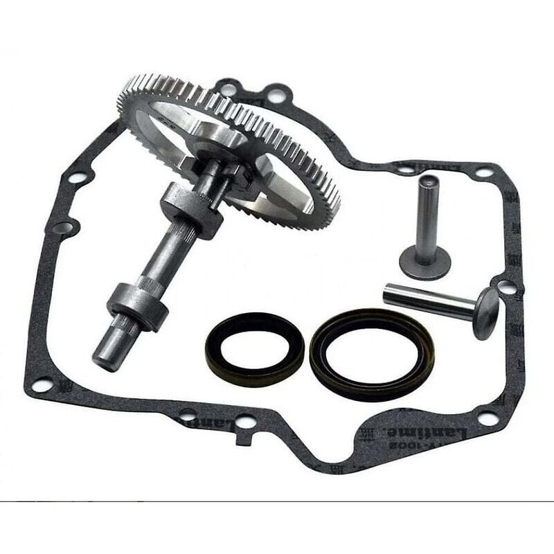 Alovez - Arbre à cames Briggs & Stratton 793880 793583 792681 791942 795102 Kit de remplacement de came avec joint d'huile 795387 et joints de carter