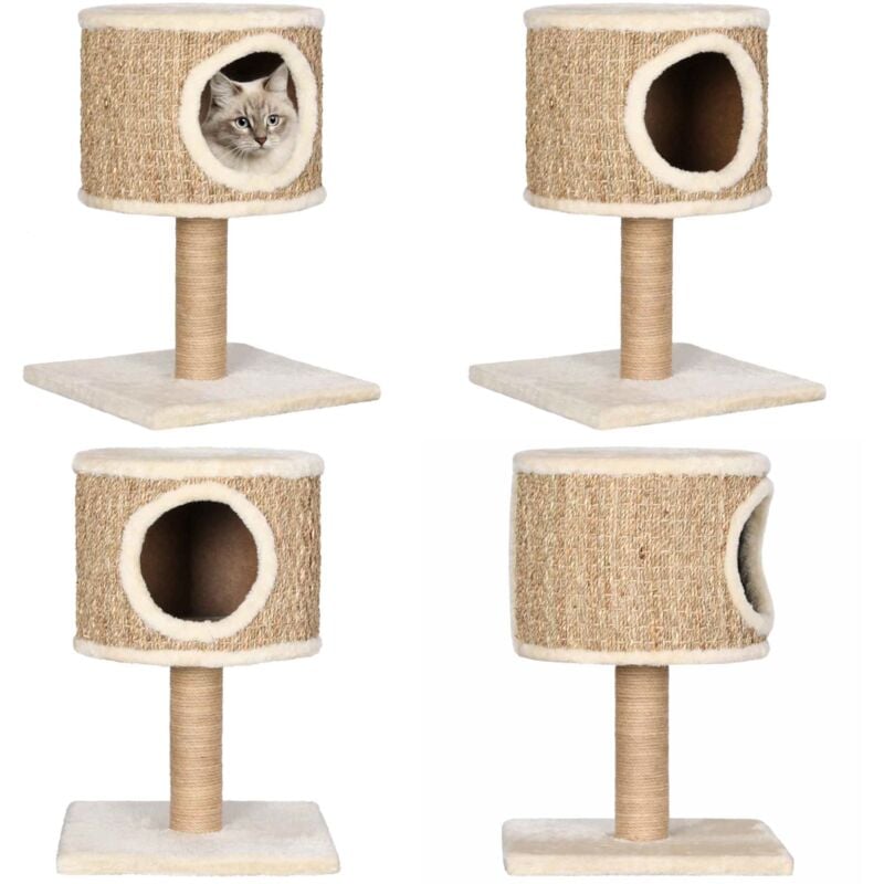 Vidaxl - Arbre à chat avec appartement et griffoir 52 cm Herbiers marins - Arbre à Chat - Chat - Meuble Chat - Griffoir Chat - Jouet Chat - Home &