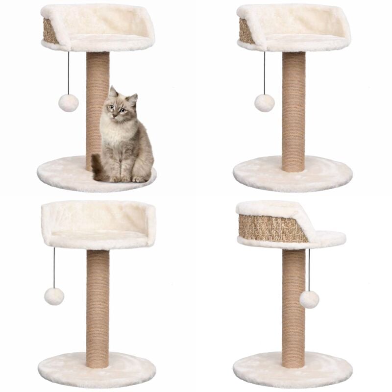 Vidaxl - Arbre à chat avec griffoirs 49 cm Herbiers marins - Arbre à Chat - Chaton - Jouets Pour Chat - Griffoir - Meuble Pour Chat - Home & Living