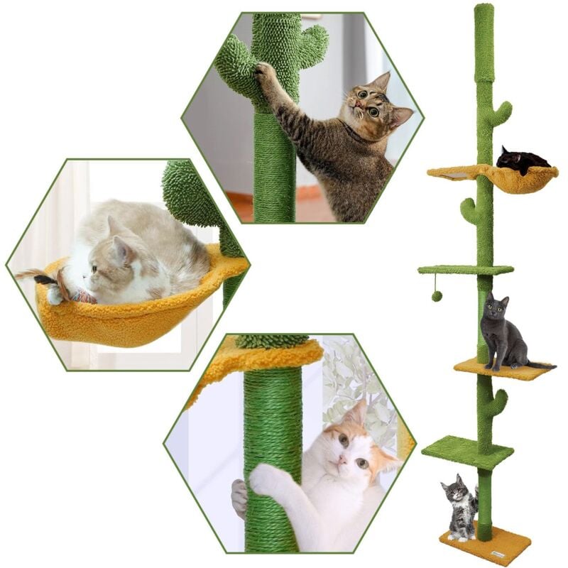 Arbre à chat cactus P70375