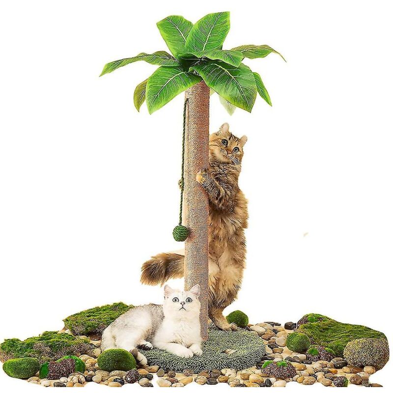 Arbre à chat Griffoir de 35 pouces de hauteur avec corde en sisal pour arbre à chat d'intérieur