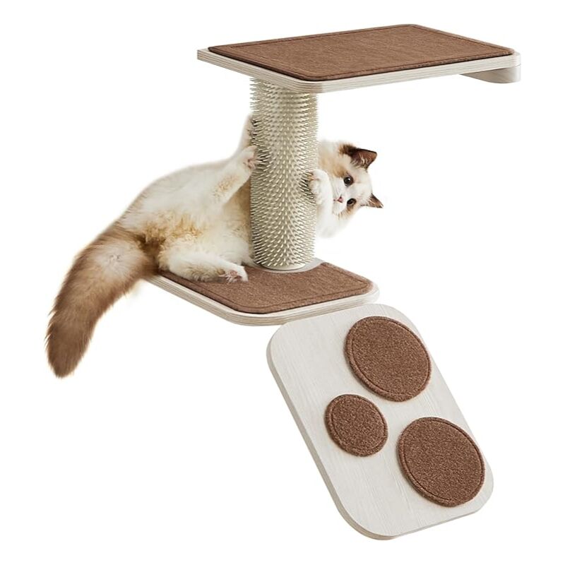 Escaliers pour Chat