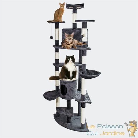 Arbre A Chat D Angle A Prix Mini