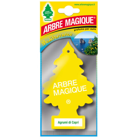 ARBRE MAGIQUE MEDITERRANEO CAPRI- 24,0 pz
