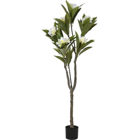 arbre tropical décoratif feuillage vert fleurs blanches réalistes - Vert feuillage et fleurs blanches