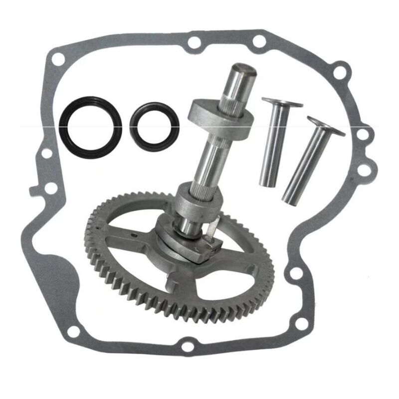 Arbres à cames Briggs & Stratton 793880 793583 792681 791942 795102 Kit de remplacement de came
