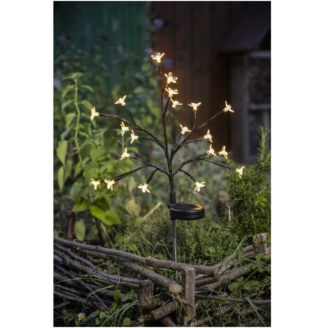 Arbusto a fiori solare - GALIX - G4505 - H72