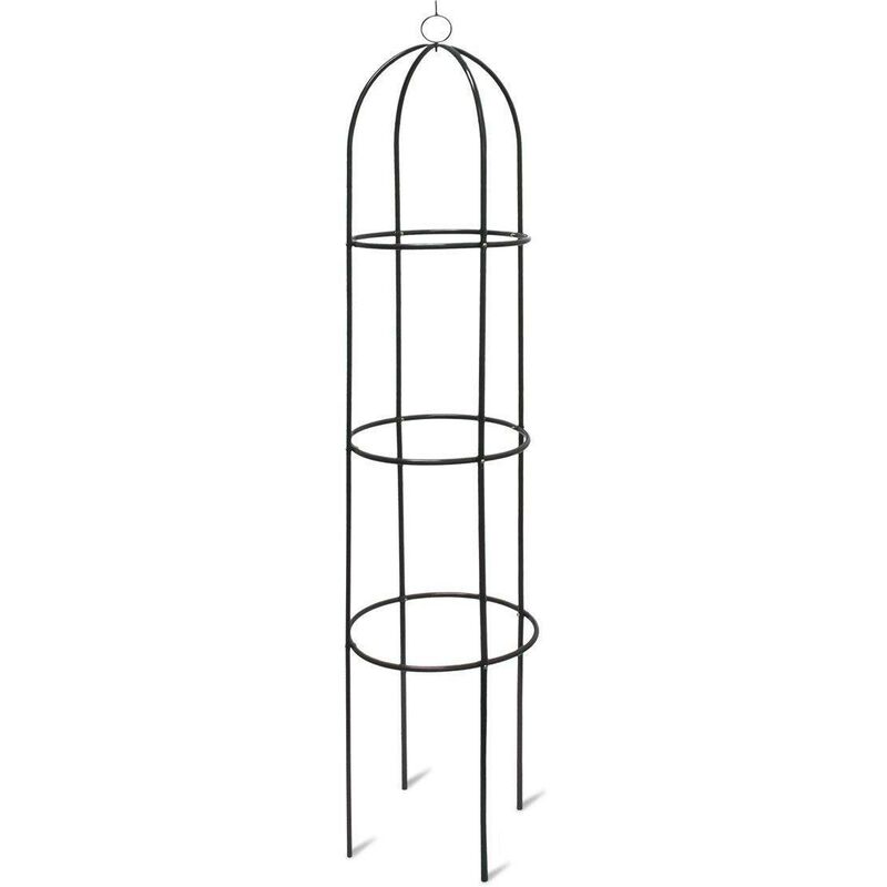 Arc tuteur pour rosiers plante grimpante jardin vert foncé 188 cm