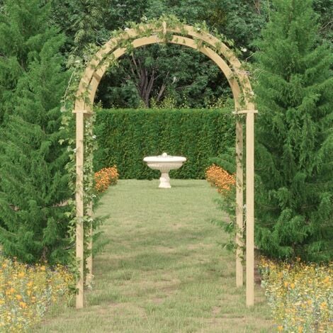 Arche pour jardin avec portique Bois massif 120 x 60 x 205 cm vidaXL