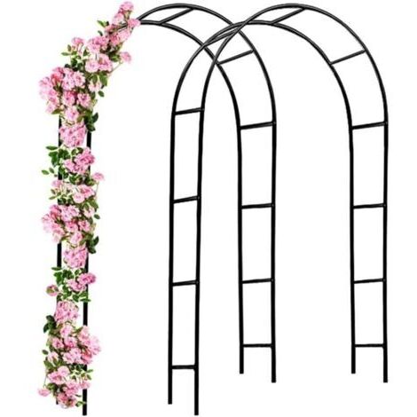 Arche de Jardin 240 x 140 x 37 cm pour Plantes Grimpantes Rosiers Piquet Décoration Extérieure
