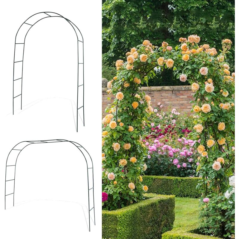 Choyclit - Arche de Jardin en métal, 2,5 m de Haut x 1,5 m de Large, tonnelle en métal Robuste avec extrémités Pointues pour Grimper, vignes et
