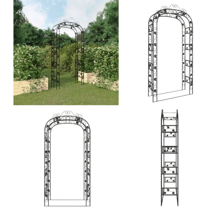 Arche de jardin Noir 116x45x240 cm Acier - arche de jardin - arches de jardin - Home & Living - Noir