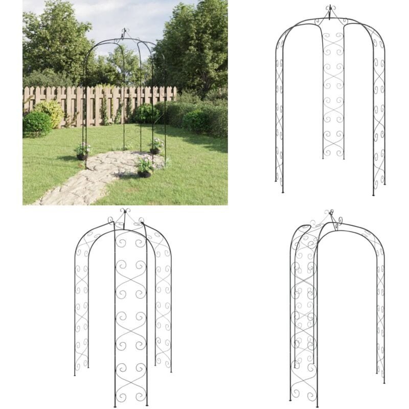 Arche de jardin Noir Ø180x255 cm Acier - arche de jardin - arches de jardin - Home & Living - Noir