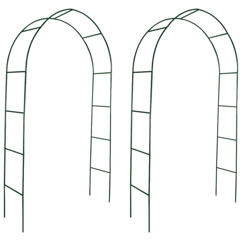 Vidaxl - Arche de jardin 2 pcs pour plantes grimpantes Vert