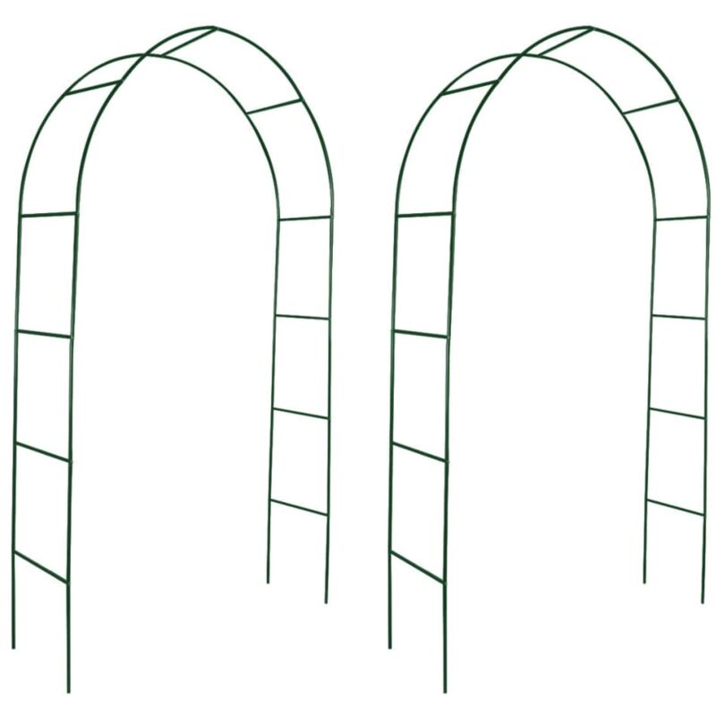 Arche de jardin 2 pcs pour plantes grimpantes Vidaxl
