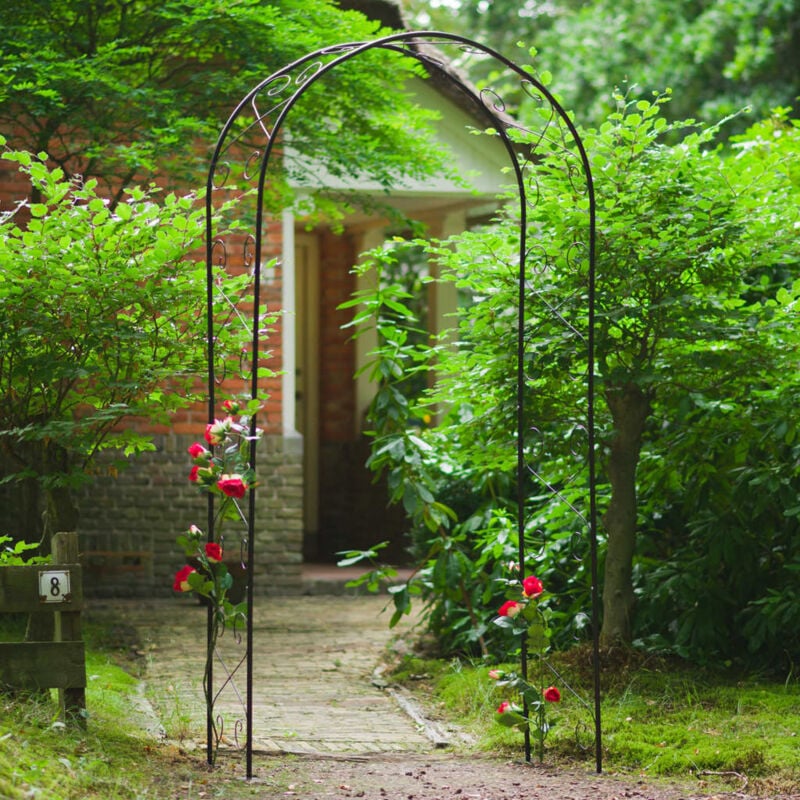 Maison Chic - Arche de jardin Voûte de jardin Métal 100x37x230 cm Noir 13096