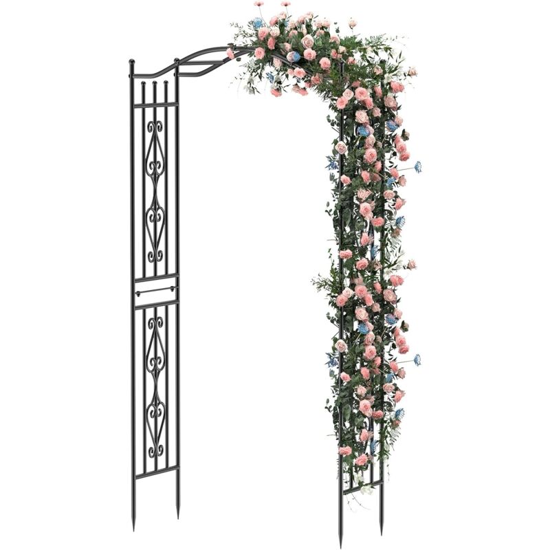Brisunshine - Arche Jardin pour Rosiers Plantes Grimpantes, avec des Motifs Délicats, 110x230cm Metal Arceau à Rosiers, Arche de Rosiers Vigne,