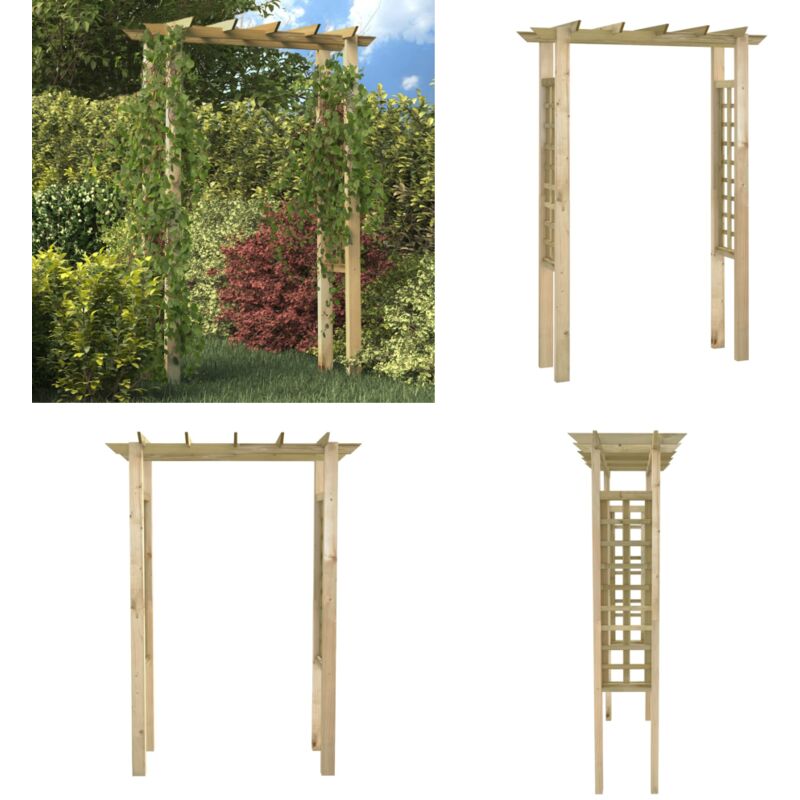 Arche pour rosiers 150 x 60 x 204 cm Bois imprégné - tonnelle - tonnelles - Home & Living - Brun