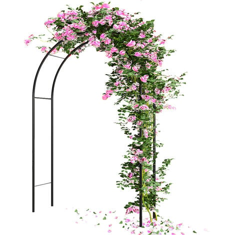Giantex Arco da Giardino in Ferro, Supporto per Fiori Rampicanti, Sostegno  Palloncino, Traliccio per Rose Pergolato