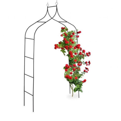 Arco di rose alto 255 cm