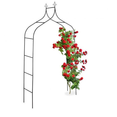 Arco di rose alto 260 cm