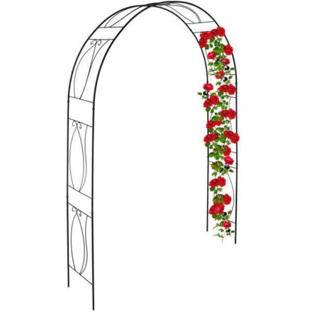 Arco di rose nere 88